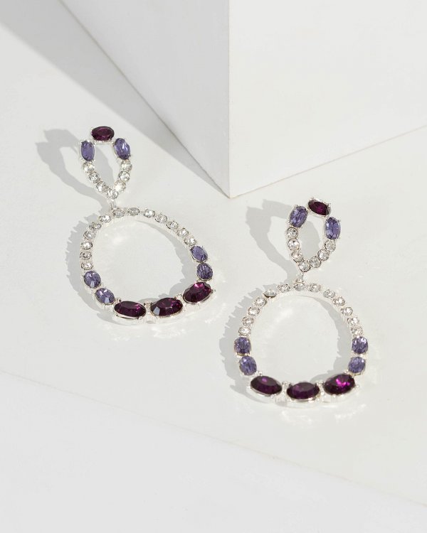 Multi Colour Double Circle Crystal Drop Earrings